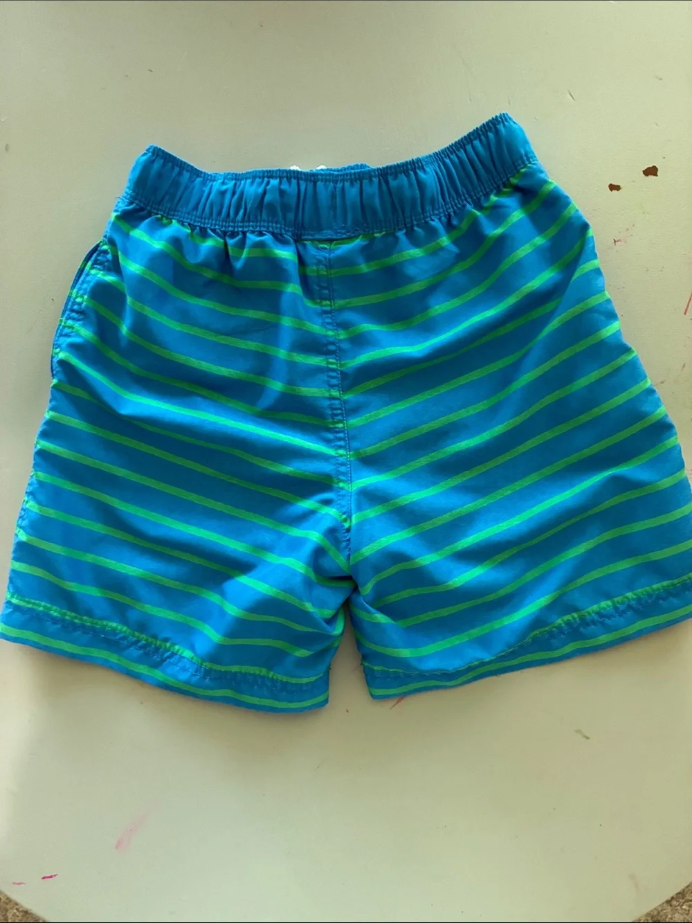 Hanna Andersson Blue & Green Striped Swim Shorts